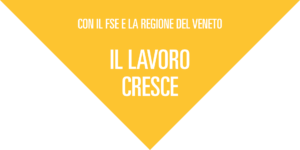 POR-FSE_2014-2020 Regione Veneto - Asse LAvoro